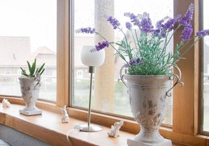 Holiday apartment Friedrichskoog Spitze for 1 - 4 persons with 2 bedrooms - Holiday apartment
