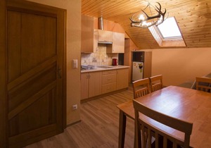 Holiday apartment with internet access