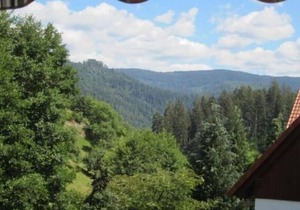 Holiday apartment Forbach for 1 - 4 persons with 2 bedrooms - Holiday apartment