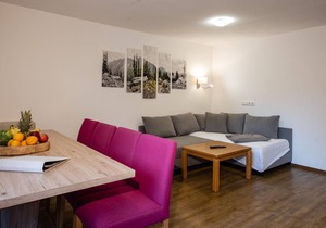 Holiday apartment house, Neukirchen with National Park Card