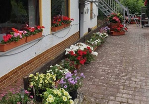 Holiday apartment in Surrterein for couples or singles with a private terrace