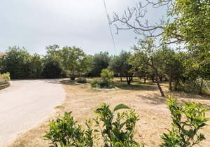 Holiday apartment Ližnjan for 1 - 5 persons with 2 bedrooms - Holiday apartment