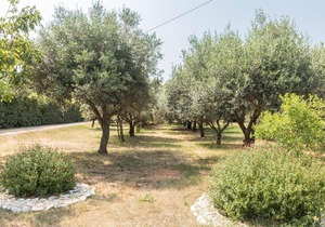 Holiday apartment Ližnjan for 1 - 5 persons with 2 bedrooms - Holiday apartment