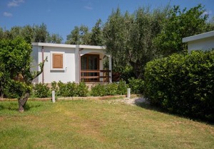 Holiday Apartment orchidea with swimming pool and private beach