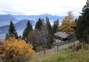Holiday apartment Rigi Kaltbad for 2 persons with 1 bedroom - Holiday apartment