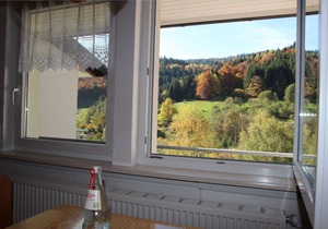 Holiday apartment Todtnau for 1 - 2 persons with 1 bedroom - Holiday apartment
