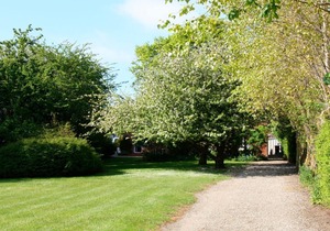 Holiday home for 6 guests with 115m² in Fehmarn OT Neue Tiefe (16061)