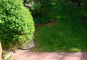 Holiday home for 6 guests with 115m² in Fehmarn OT Neue Tiefe (16061)