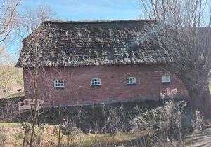 Holiday house Norderfriedrichskoog for 1 - 3 persons with 2 bedrooms - Holiday house
