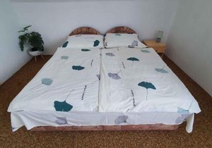 Holiday home in Balatonlelle 38068