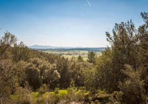 Holiday Home Sant Joan