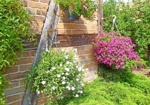 Holiday home SEE 8991 - Holiday home Kleinzerlang SEE 8991