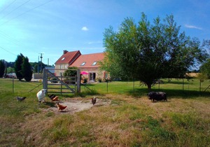Holiday home with garden