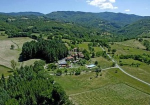 Holiday house Pratovecchio for 1 - 6 persons with 3 bedrooms - Holiday home
