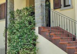 Holiday house Pratovecchio for 6 - 12 persons with 6 bedrooms - Holiday house