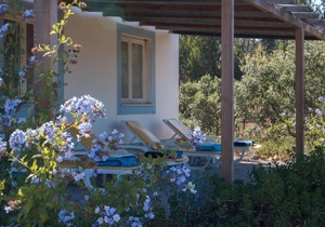 Holiday house Santiago do Cacém for 1 - 4 persons with 2 bedrooms - Holiday house
