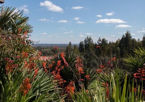 Holiday house Santiago do Cacém for 1 - 4 persons with 2 bedrooms - Twin house