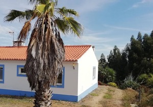 Holiday house Santiago do Cacém for 1 - 5 persons with 2 bedrooms - Twin house