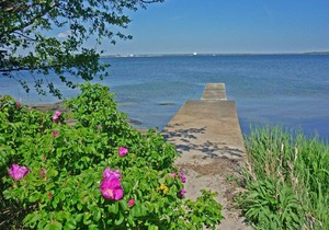 Holiday house Drottningskär for 1 - 4 persons with 2 bedrooms - Holiday home