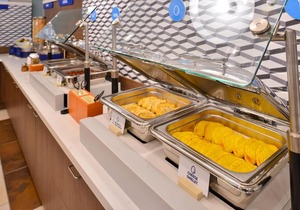 Holiday Inn Express Hotel & Suites Chicago-Algonquin