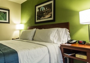 Holiday Inn Express Guadalajara Aeropuerto