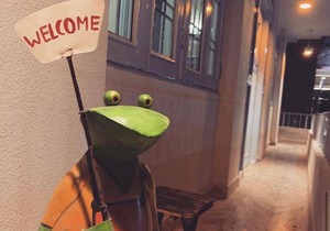 Hostel ∙ 8 guests