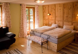 Hotel ∙ Apartments & Chalet Dorfschenke - INCL. LIFT PASS Apartment, sleeps 4 (approx. 48 m², Pusstratten), SC