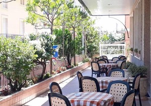 Hotel Fleming