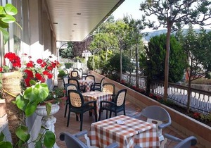 Hotel Fleming