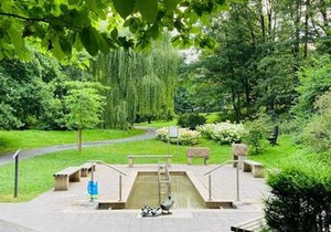 Hotel im Park