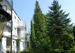 Hotel Villa Luise