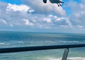 House Metropol App.103 - 1 room apartment with sea view in the house Metropol in