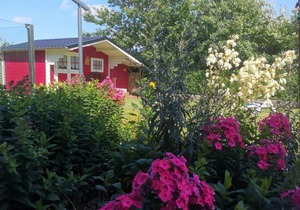 House Stormschwalbe - House Stormschwalbe