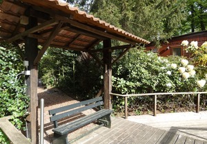 Houten chalet wat direct aan het bos gelegen is