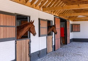 Huswell - Lady - Lovely double room at ranch De Blauwe Zaal