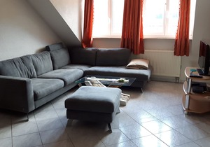 Idyllically Situated Holiday Apartment "Hermannshöhe FeWo 5" on a Farm with Shared Garden, Playground, Terrace, Barbecue, Wi-Fi & TV; Parking Available