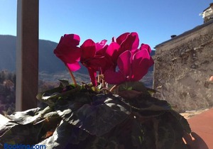 Il Borgo 30