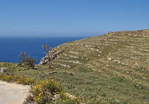 Il-Majjistral Apt. C7 Wind Rose Gozo