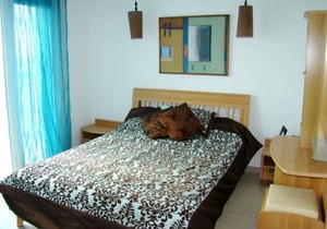 Imagine Your Family Renting a Luxury Holiday Villa Close to Sotira’ Main Attractions