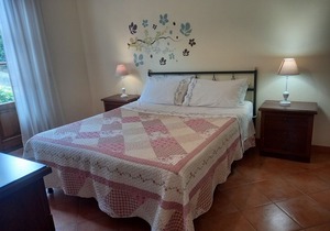 Independent apartment with garden near Rome