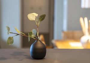 InselLoft Wohnung 5