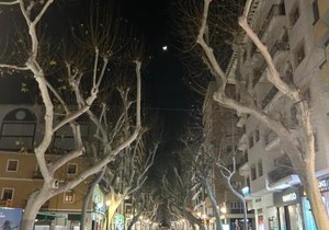Jardines de Las Marinas