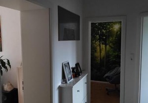 Joanna Apartment - MA Rheinau 4