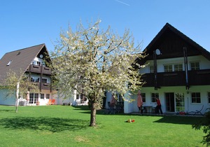 Just go on vacation. Vacation apartment 2-4 pers. 65sqm, terrace, 2 bedrooms. W-lan