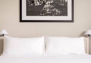Kasa | Welcoming 1BD in South Houston | Pearland