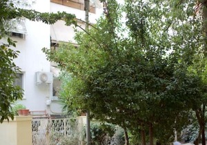 Kesariani Apartment near Acropolis