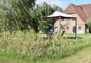 Kleine Schwalbe