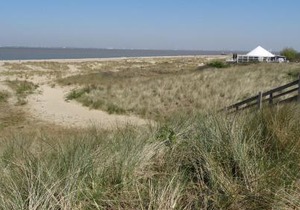 Kustverhuur, Park Schoneveld, Zeester 25