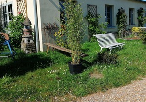 LA GUINGUETTE DE BELLEME, whole house - Le Bellemois