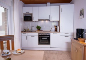 Lachmöwe by Interhome